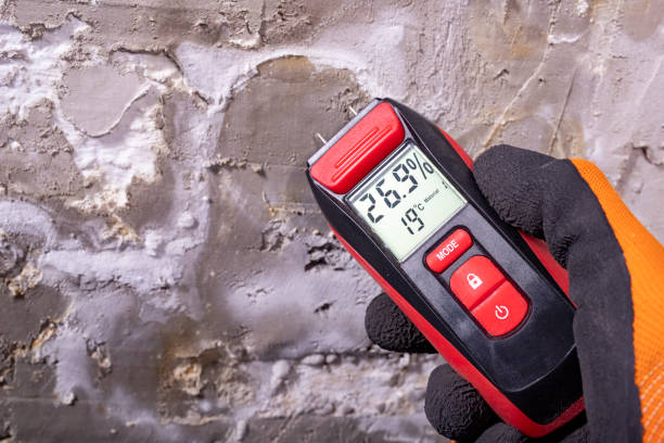 Best Localized Mold Remediation (e.g., coastal areas, humid climates) in Soquel, CA