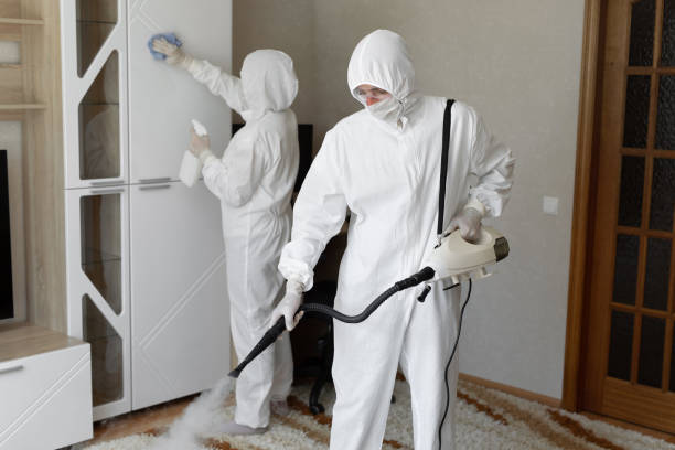 Professional Mold Remediation in Soquel, CA